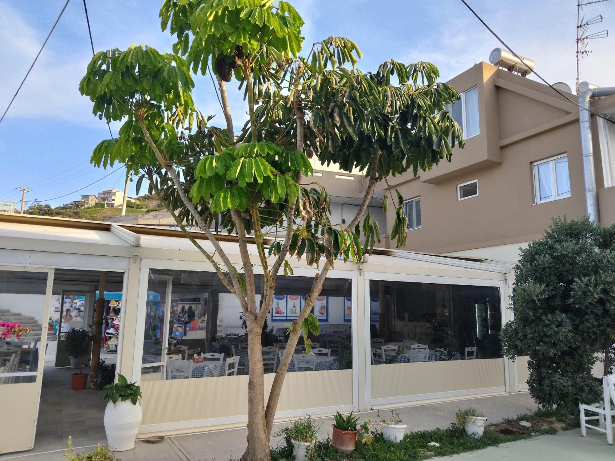 Anatoli Lygaria Apartments On The Beach Ligaria  Luaran gambar